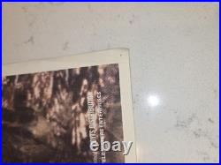 Extremely Rare Australian (1980) Flesh Eaters Horror Movie Poster 30×14 Vintage