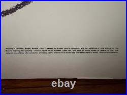 Original Vintage Movie Poster She Man Southeastern Pictures 1968 Transexual EG