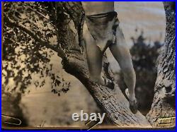 Original Vintage Poster Tarzan Movie Memorabilia Elmo Lincoln Jungle Trees 1960s
