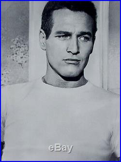 Paul Newman Young Actor in T-shirt, Hud Vintage B&W Photo Personality POSTER
