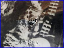 Rare vintage Large Easy Rider chopper movie Poster Peter Fonda 1969 Motorcycles