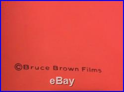 The Endless Summer Original Vintage Poster Blacklight Movie Surf 60s Bruce Brown