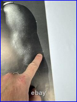 VICTOR SKREBNESKI (1929-2020) Vintage Chicago International Film Festival Poster