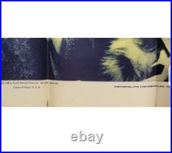 Vintage 1938 International Crime 1 Sheet Original Movie Poster 41x27 Very Rare