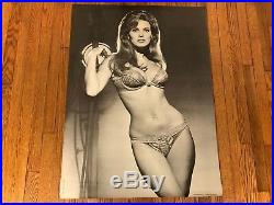 Vintage 1970 Sex Symbol Raquel Welch Poster Personality Posters # 654