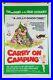 Vintage_Carry_On_Camping_Movie_Theatre_Poster_Sign_1_One_Sheet_England_UK_01_cenx