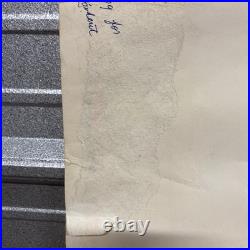 Vintage SNOOPY FOR PRESIDENT Blacklight Poster 1968 Anti War RARE Leslie Tobin